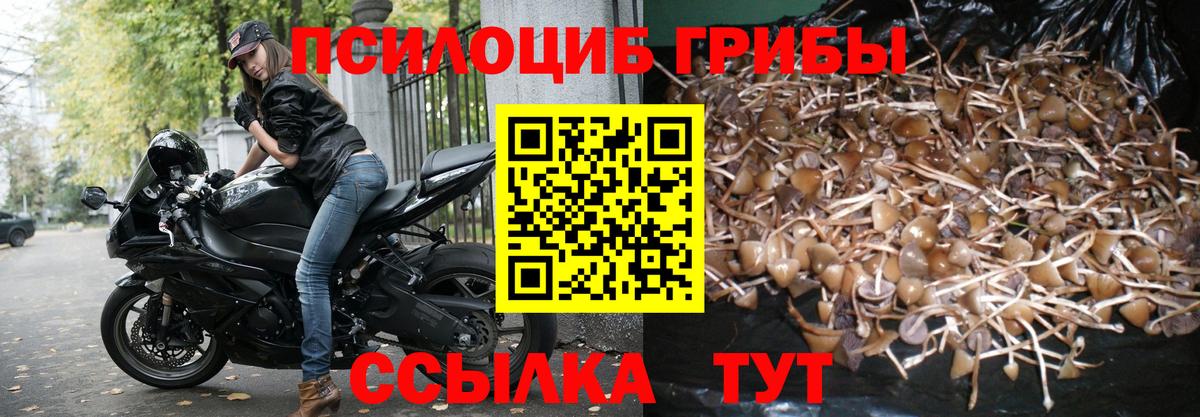 Галлюциногенные грибы мицелий Кисловодск