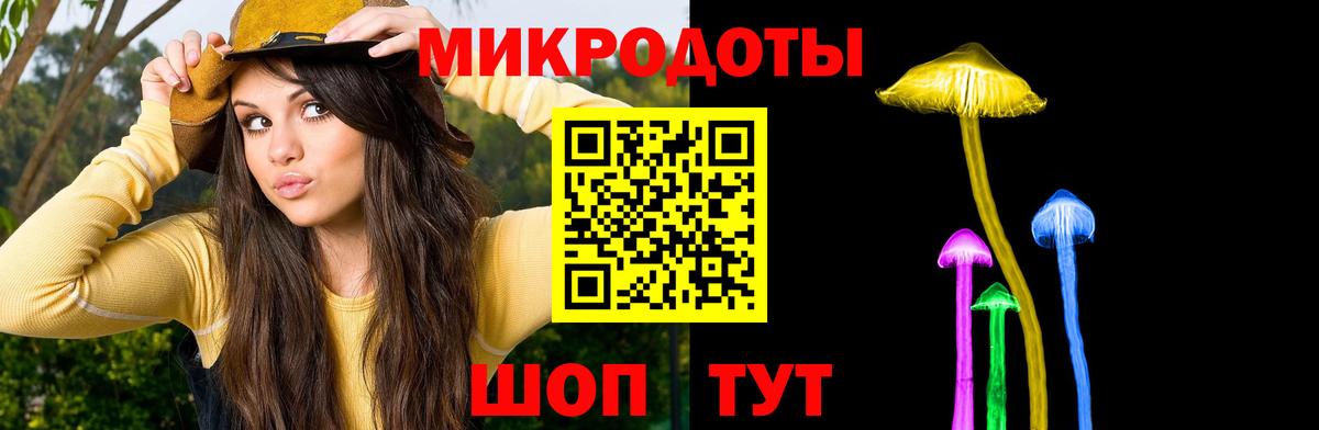 Кисловодск  наркотики  Вход с VPN  Галлюциногенные грибы Psilocybe  Псилоцибиновые грибы Psilocybe 